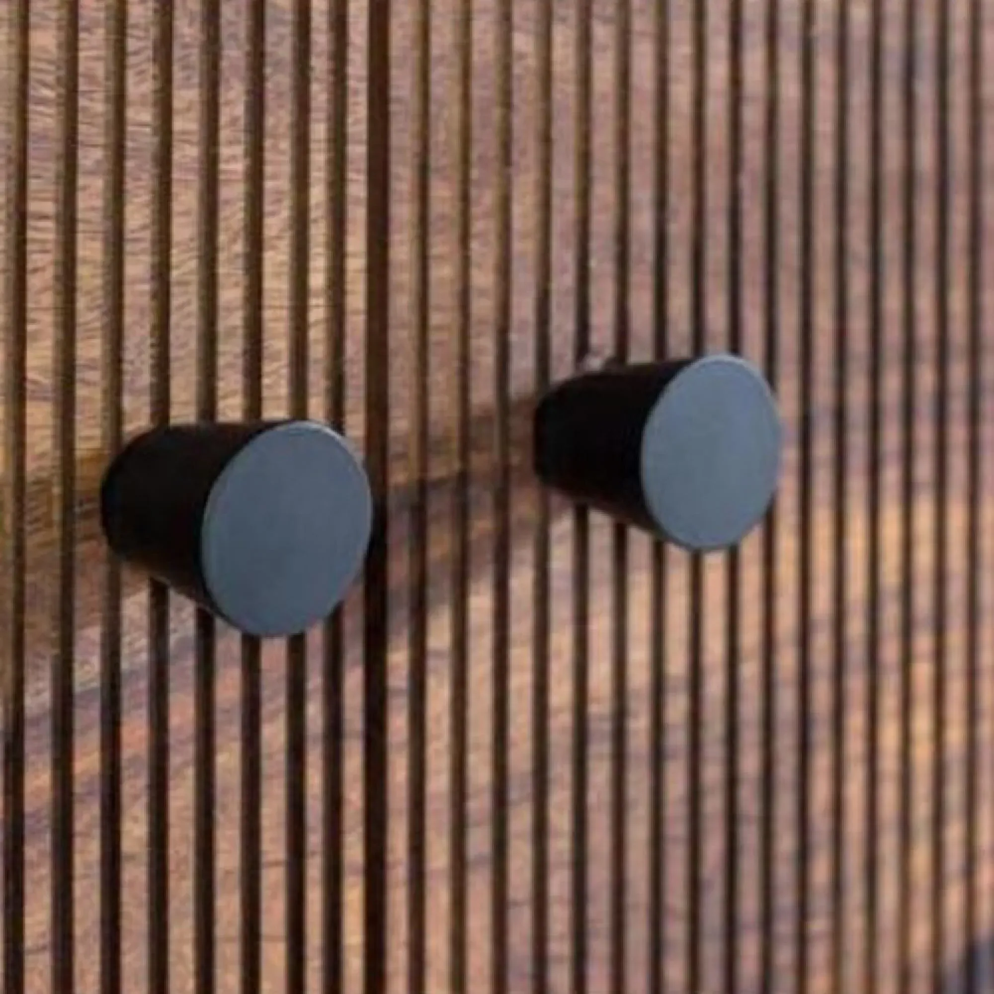 Venedocia Small 2 Door Hall Cabinet - Mango Wood