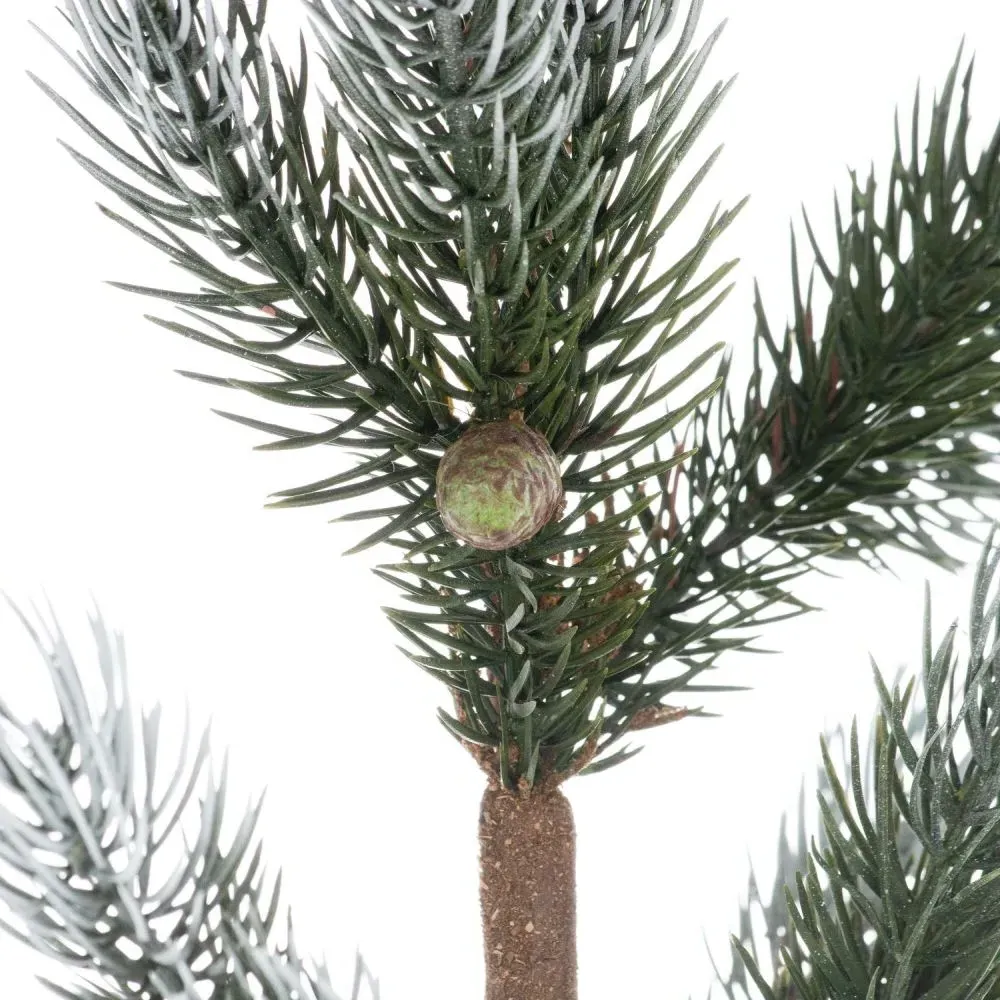 Blackpool Fir Tree in Stone Pot
