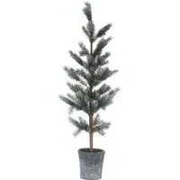 Blackpool Fir Tree in Stone Pot