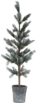 Blackpool Fir Tree in Stone Pot image