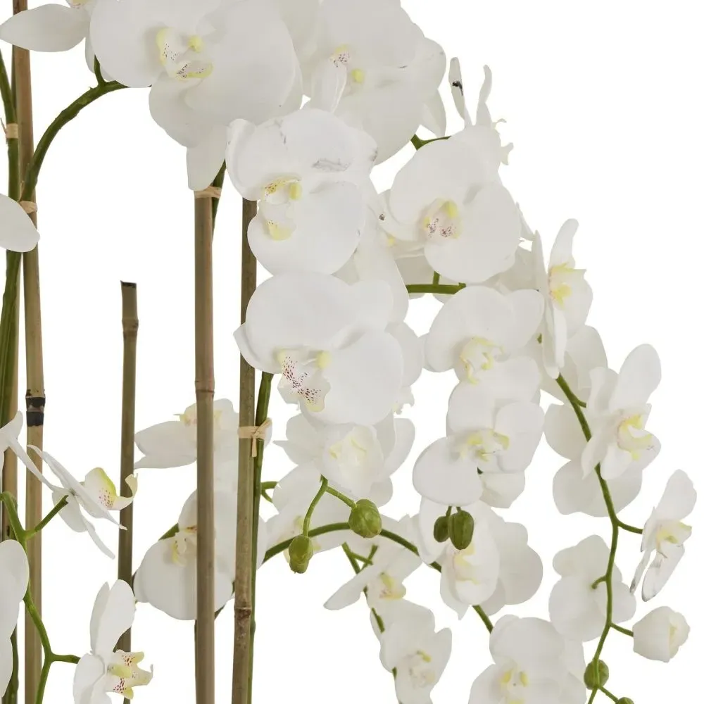 Large Orchid in Antique Stone Pot - White