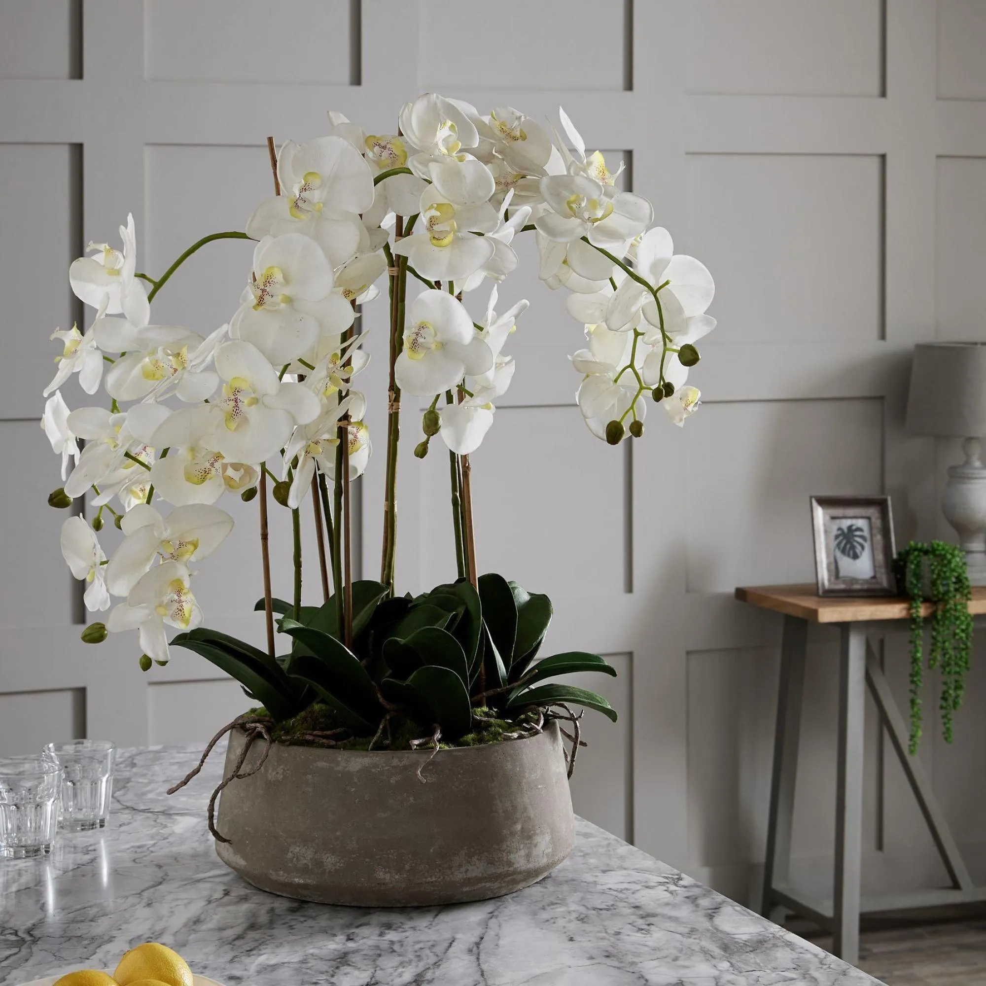 Large Orchid in Glass Pot - White