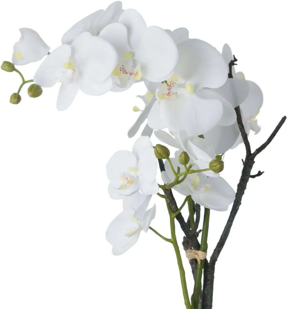 White Orchid in Stone Pot - White