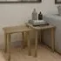 Danish Oak Nest of Tables - Lacquered