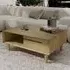 Danish Oak Storage Coffee Table - Lacquered