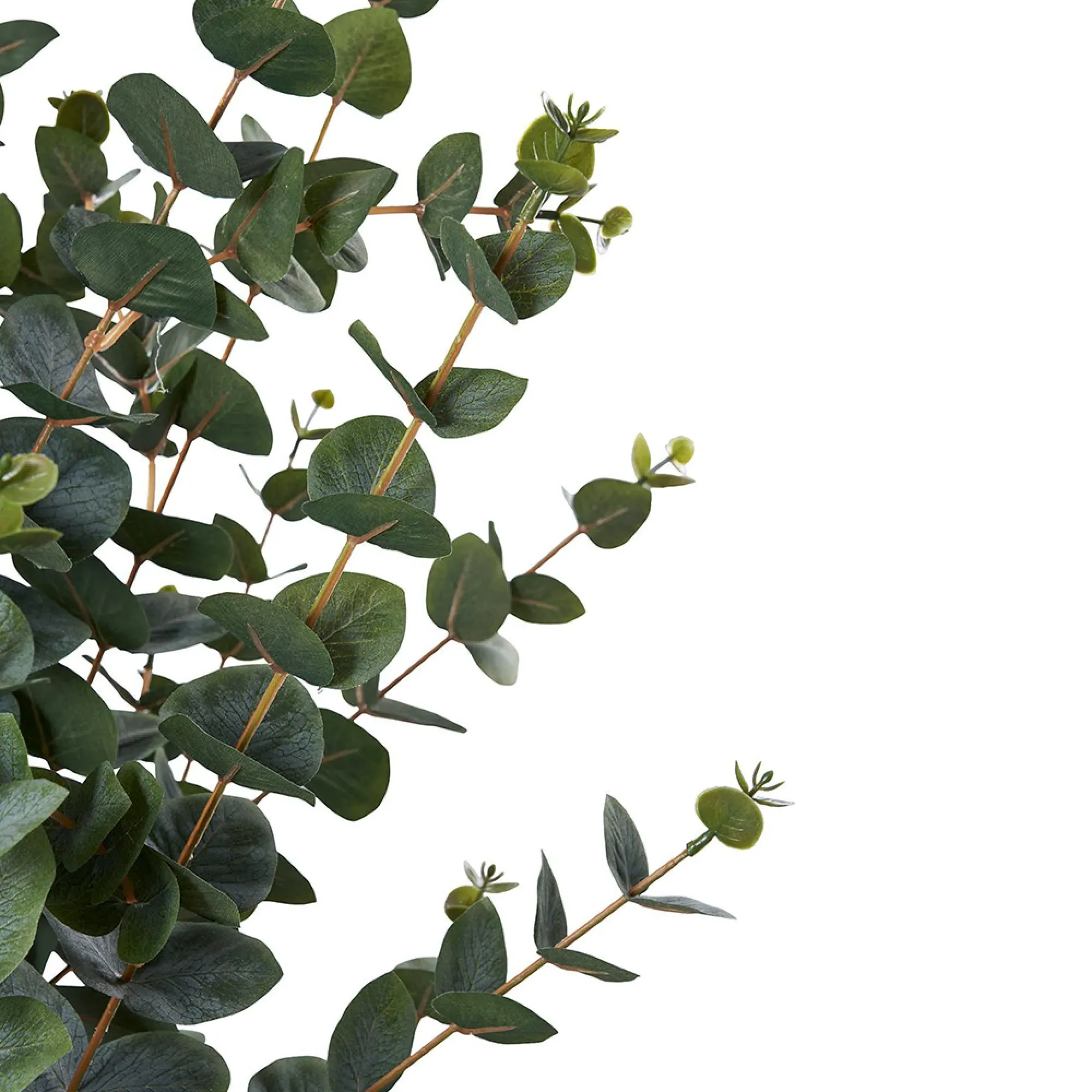 Artificial Eucalyptus Tree - Green