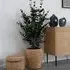 Artificial Eucalyptus Tree - Green