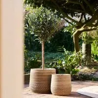 Artificial Green Olive Tree - Green