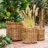 Burton Rattan Basket Set of 3 - Natural