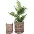 Burton Round Baskets Set of 2 - Natural, Rattan