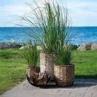 Hanoi Planter Set of 3 - Natural, Waterhyacinth