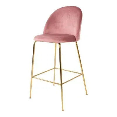 Lausanne Barstool Set of 2 - Rose, Velvet