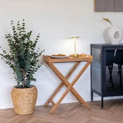 Ronda Large Tray Table - Teak image