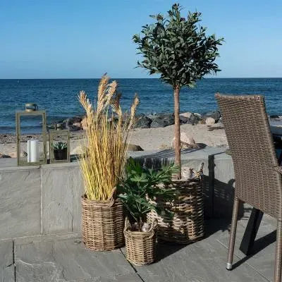 Sema Kubu Rattan Basket Set of 3 - Natural