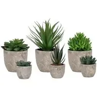 Spello Flower Display - Green