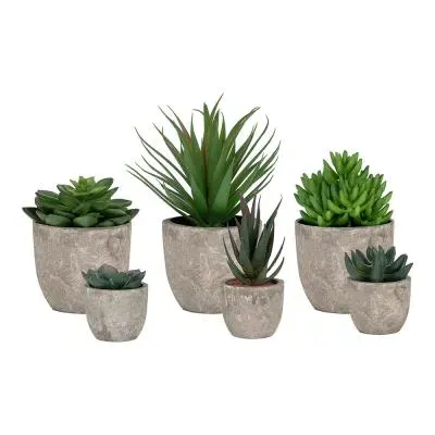 Spello Flower Display - Green image