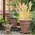 Sutton Terracotta Garden Pot Set of 4 - Brown