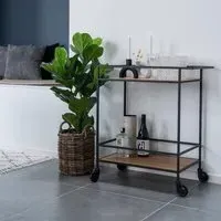 Vita Bar Trolley - Natural, Steel