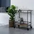 Vita Bar Trolley - Natural, Steel