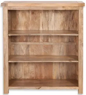 Bombay Low Bookcase - Mango Wood image