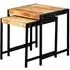 Bhuj Nest of 2 Tables - Natural, Wood