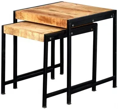 Bhuj Nest of 2 Tables - Natural, Wood