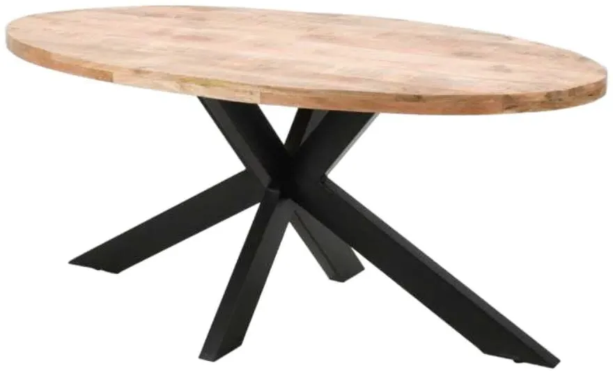 Dispur 6 Seater Oval Dining Table - Brown, Mango Wood