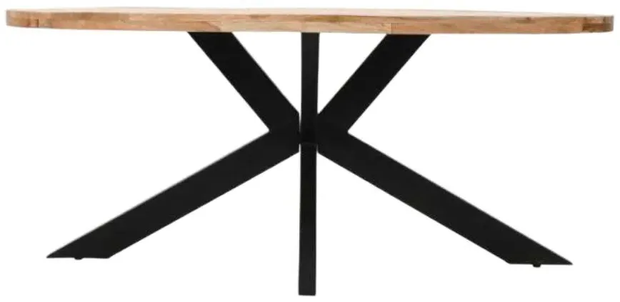 Dispur 6 Seater Oval Dining Table - Brown, Mango Wood