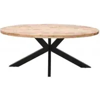 Dispur 6 Seater Oval Dining Table - Brown, Mango Wood