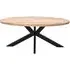 Dispur 6 Seater Oval Dining Table - Brown, Mango Wood