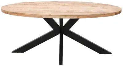 Dispur 6 Seater Oval Dining Table - Brown, Mango Wood image