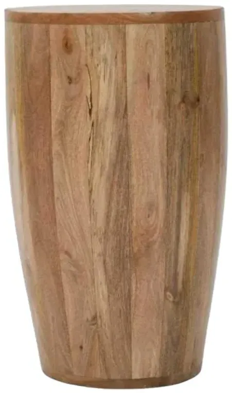 Dispur Drum Side Table - Brown, Mango Wood