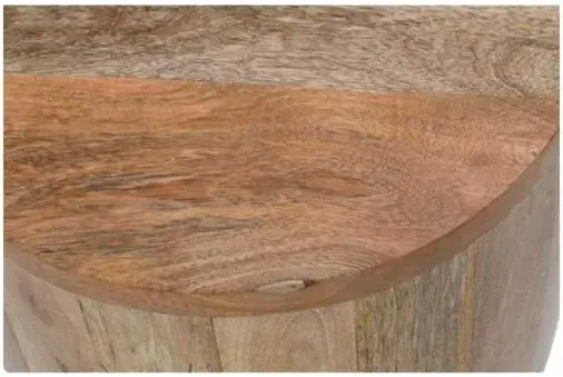 Dispur Drum Side Table - Brown, Mango Wood