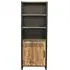 Frais Bookcase with Cupboard - Rustic, Mango Wood