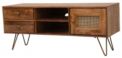 Nyack 120cm TV Unit with Storage - Natural, Mango Wood image
