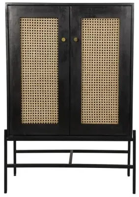 Tapola 2 Door Cabinet - Black, Mango Wood image