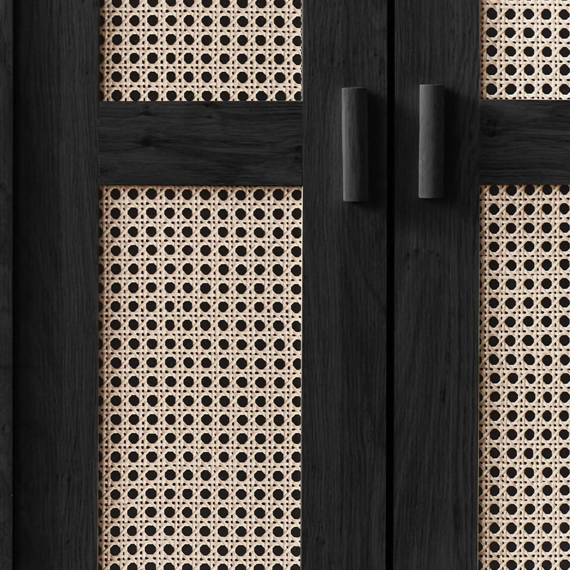 Sydney 2 Door Wardrobe - Black, Oak