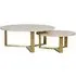 Olga Marble Top Coffee Table - Set of 2