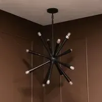 Arren 12 Arm Chandelier - Black