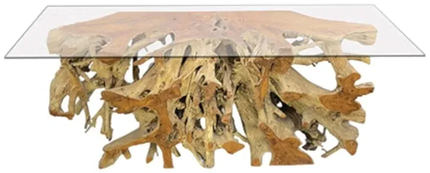 Large Teak Root Console Table - Brown, Glass