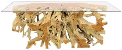 Large Teak Root Console Table - Brown, Glass