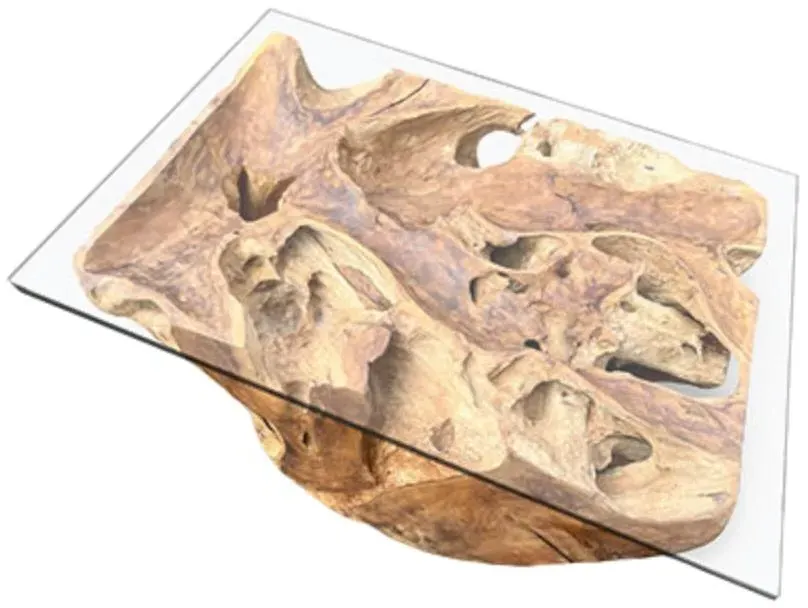 Lombok Rectangle Coffee Table - Brown, Teak Root Glass