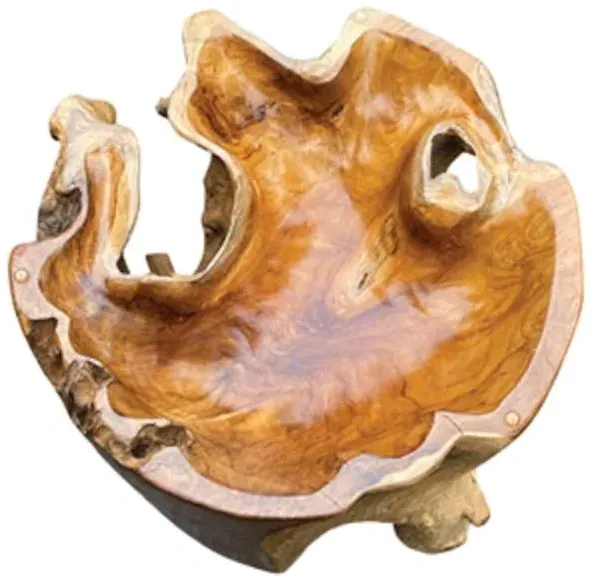 Lombok Root Round Coffee Table - Brown, Glass