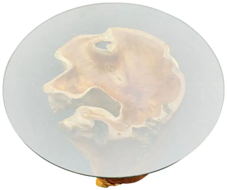 Lombok Root Round Coffee Table - Brown, Glass