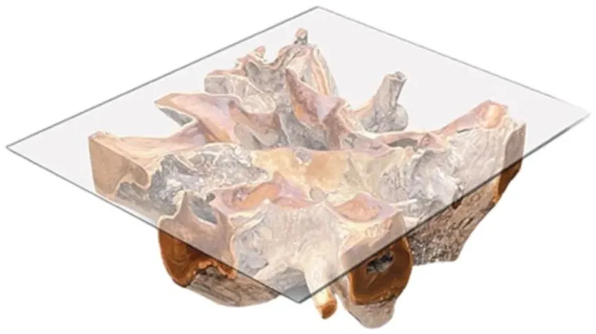 Lombok Root Square Coffee Table - Brown, Glass