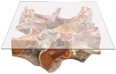 Lombok Root Square Coffee Table - Brown, Glass