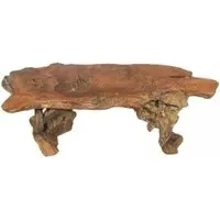 Teak Root 2 Legs Coffee Table - Brown