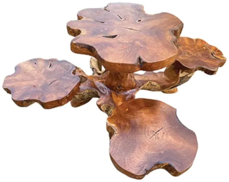 Teak Root Bar Table Set - Brown