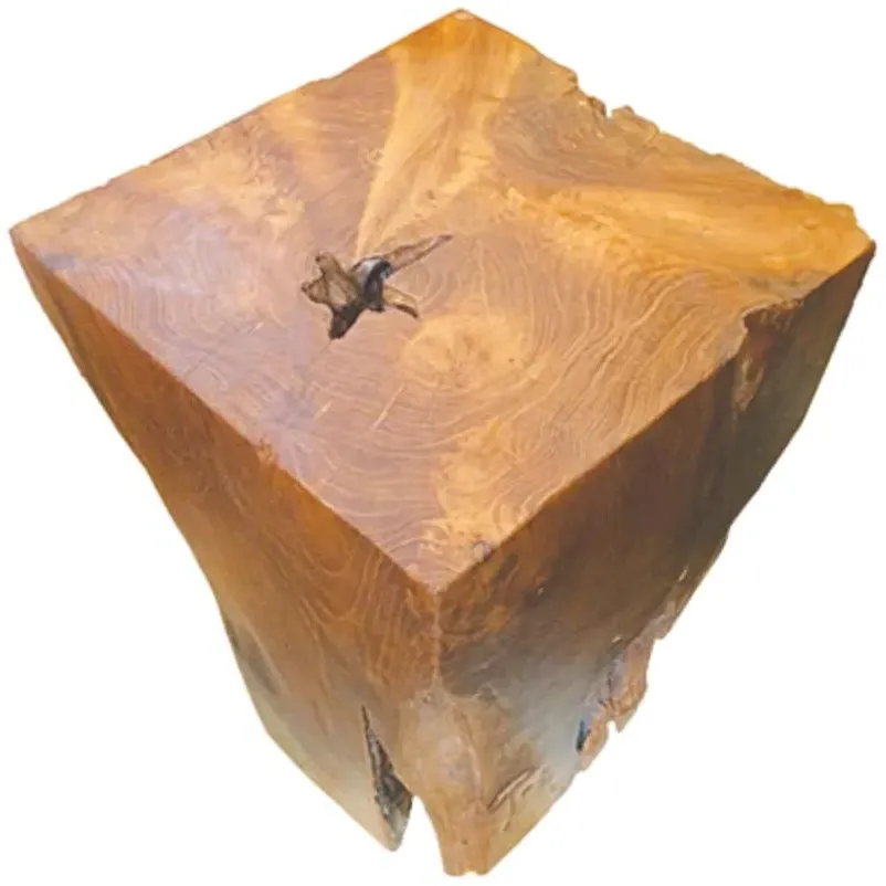 Teak Root Block Lamp Table - Brown