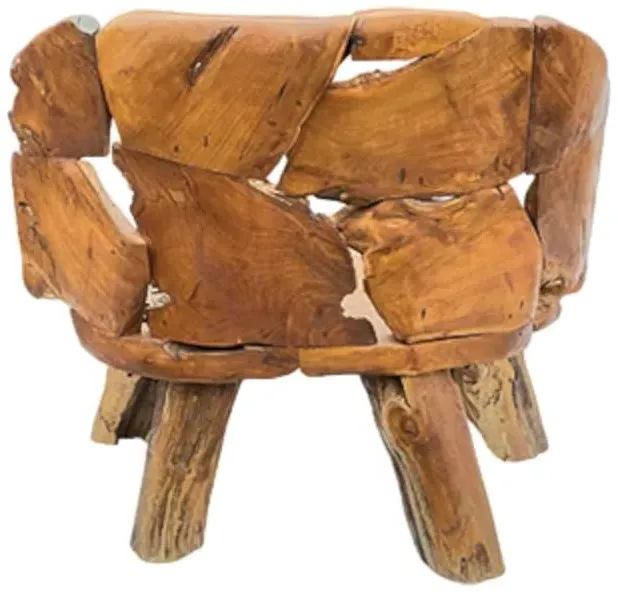 Teak Root Branch Medium Bench with Back - Brown